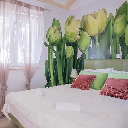 Villa Tamaris S Privatnim Bazenom 700m Od Mora Makarska