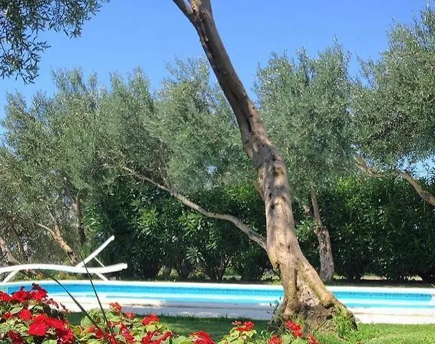 Tamaris S Privatnim Bazenom 700m Od Mora *